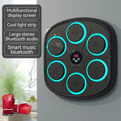 Intelligent Boxing Machine ©  Punching Mind Pro