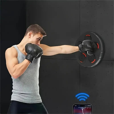 Intelligent Boxing Machine ©  Punching Mind Pro